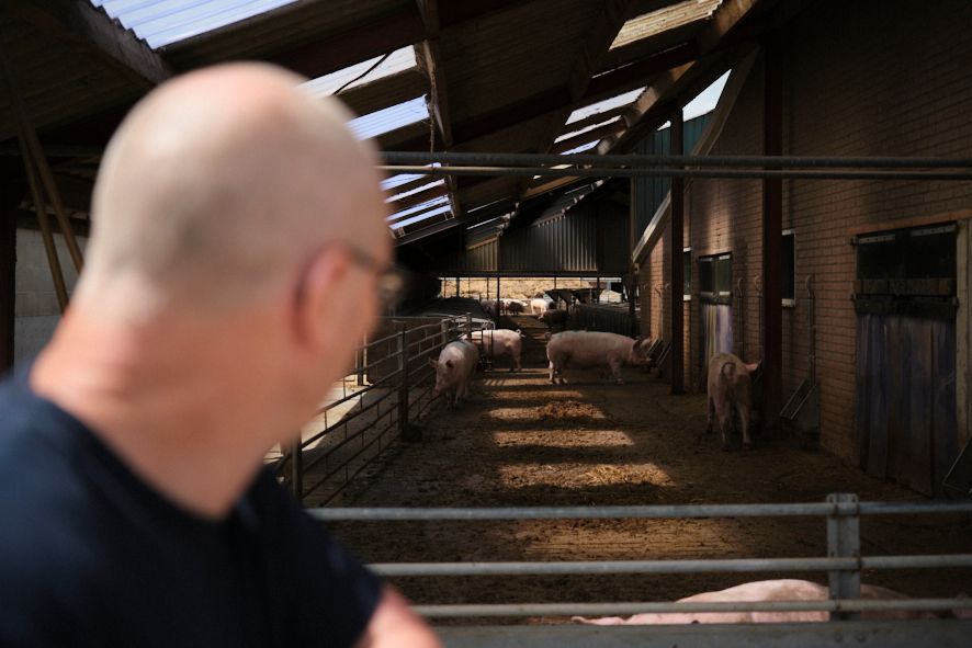 Vooruitkijken zonder groter te worden