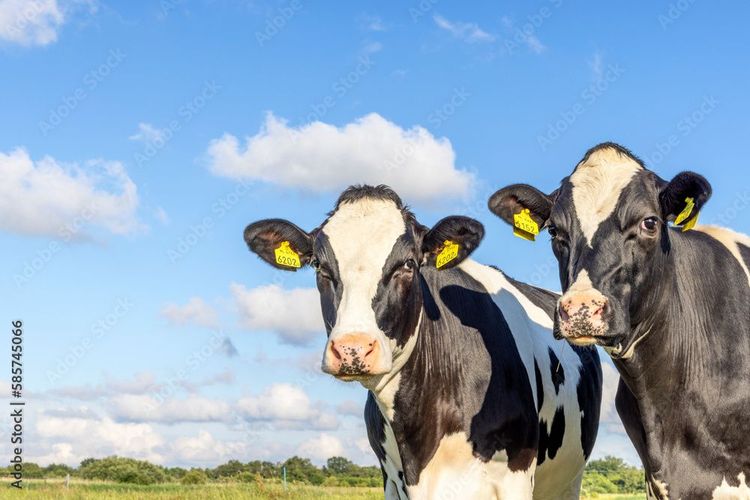 Agro-AOV (zorg en zekerheid)