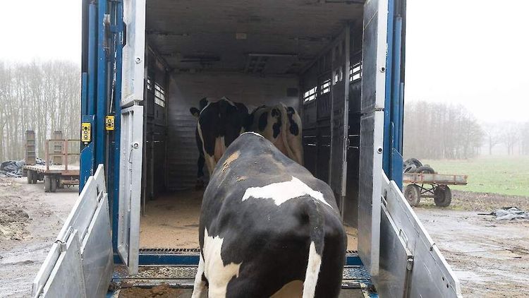 Het belang van goede werkomstandigheden